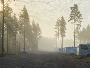 Ställplatsen vid Kosta Safaripark i disig dimma