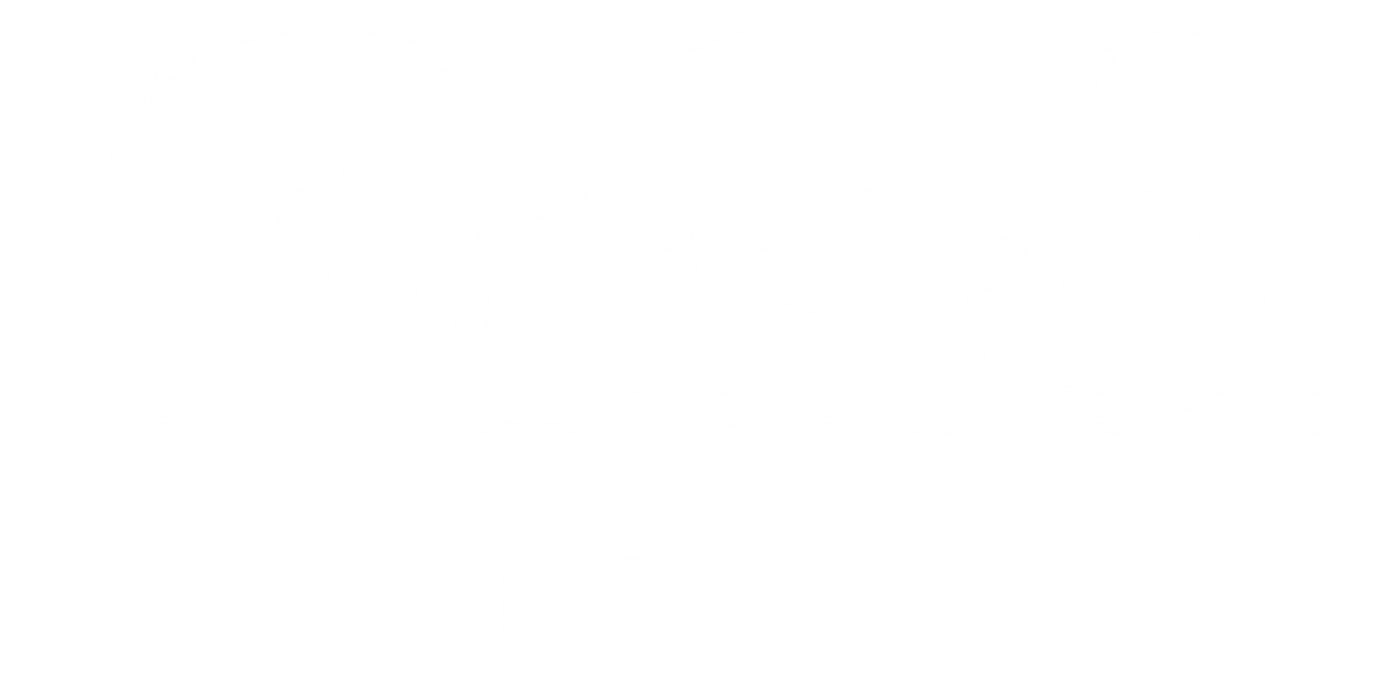 Kosta white logo